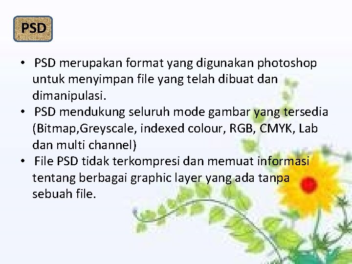 PSD • PSD merupakan format yang digunakan photoshop untuk menyimpan file yang telah dibuat