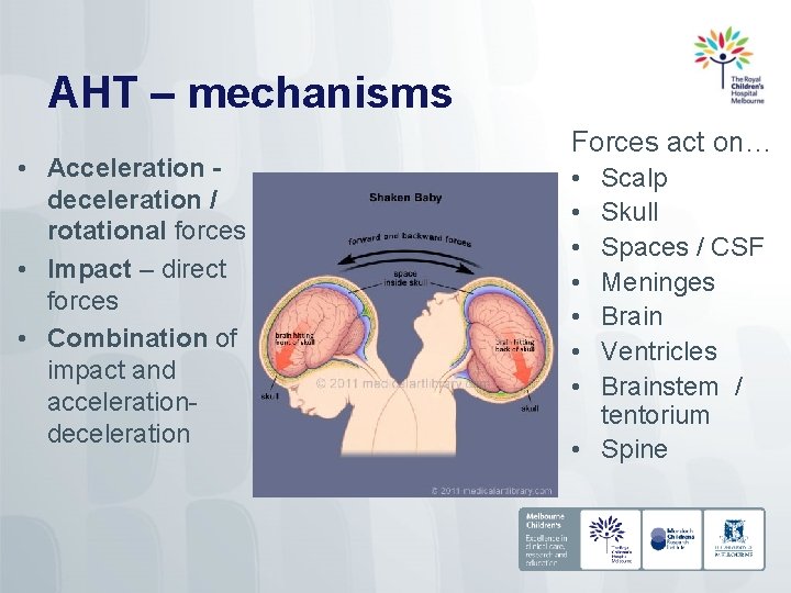 AHT – mechanisms • Acceleration deceleration / rotational forces • Impact – direct forces