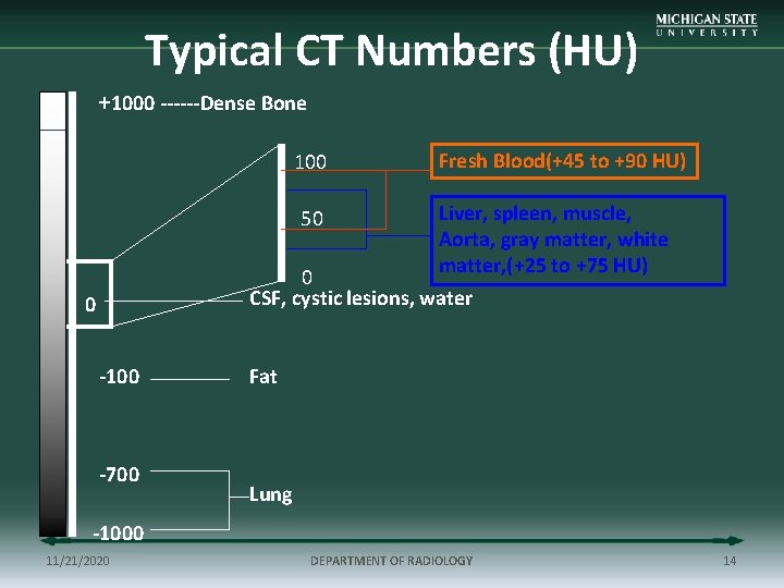Typical CT Numbers (HU) +1000 ------Dense Bone 100 Fresh Blood(+45 to +90 HU) Liver,