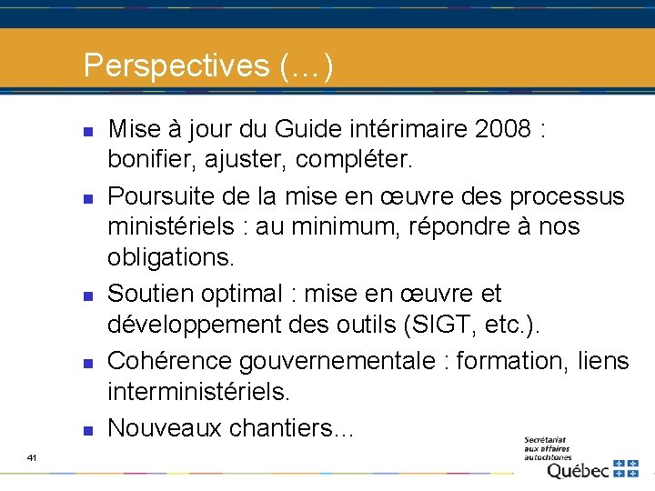 Perspectives (…) n n n 41 Mise à jour du Guide intérimaire 2008 :