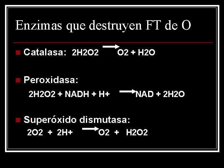 Enzimas que destruyen FT de O n Catalasa: 2 H 2 O 2 +