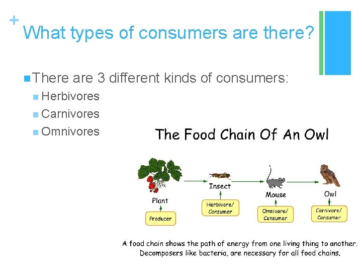 + What types of consumers are there? n There are 3 different kinds of
