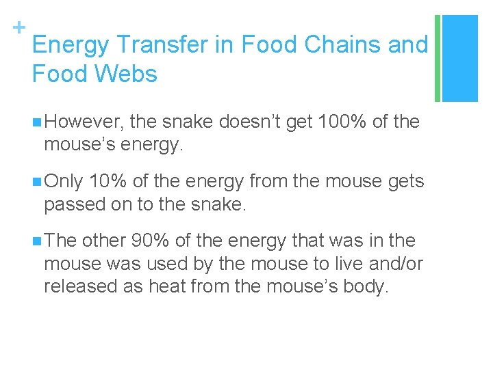 + Energy Transfer in Food Chains and Food Webs n However, the snake doesn’t