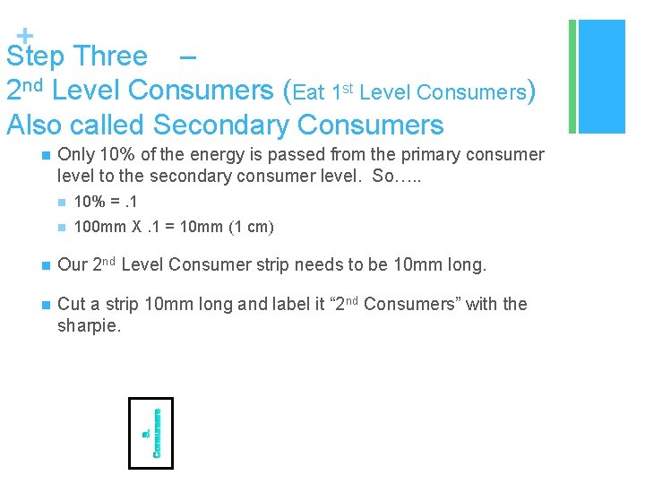 + Step Three – 2 nd Level Consumers (Eat 1 st Level Consumers) Also