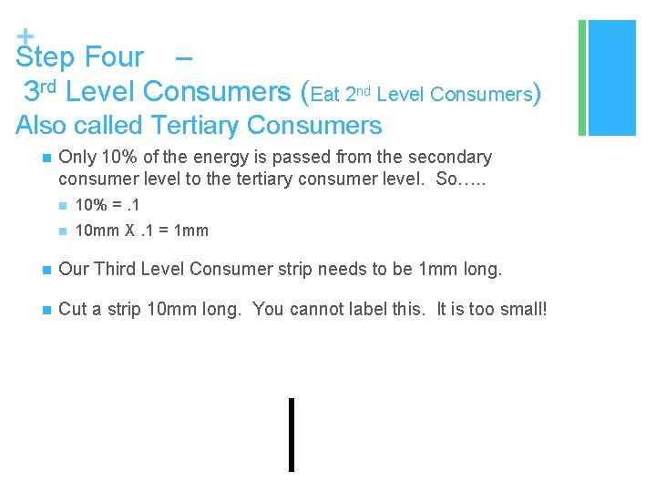 + Step Four – 3 rd Level Consumers (Eat 2 nd Level Consumers) Also