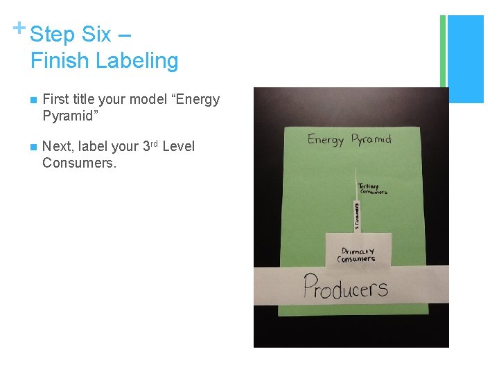 + Step Six – Finish Labeling n First title your model “Energy Pyramid” n