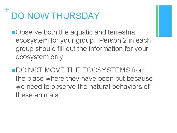 + DO NOW THURSDAY n Observe both the aquatic and terrestrial ecosystem for your