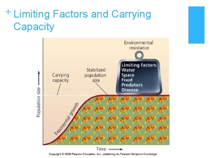 + Limiting Factors and Carrying Capacity 