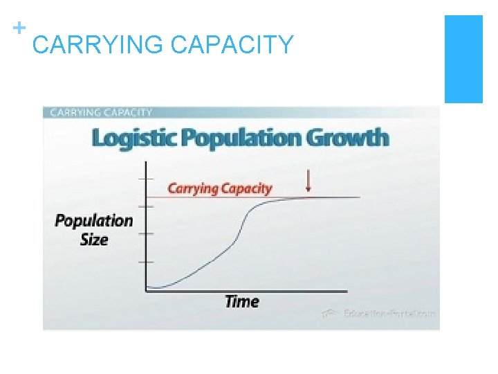 + CARRYING CAPACITY 