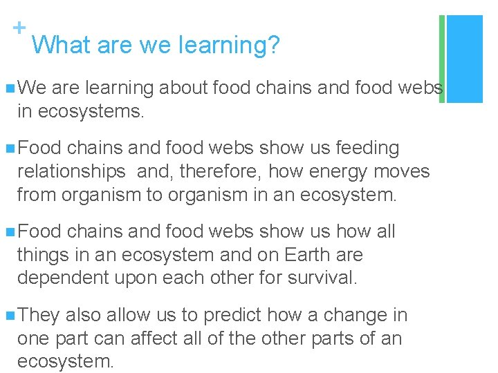 + What are we learning? n We are learning about food chains and food