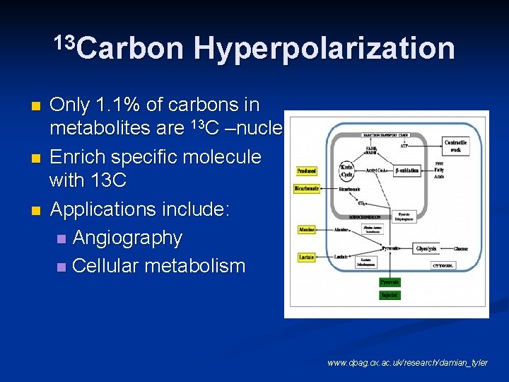 13 Carbon n Hyperpolarization Only 1. 1% of carbons in metabolites are 13 C