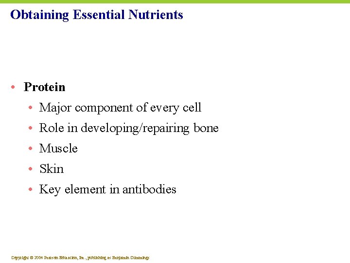 Obtaining Essential Nutrients • Protein • Major component of every cell • Role in