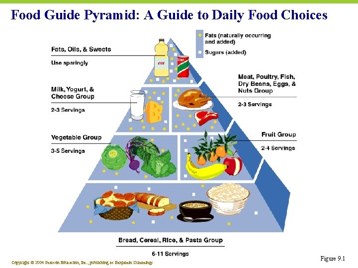 Food Guide Pyramid: A Guide to Daily Food Choices Copyright © 2004 Pearson Education,