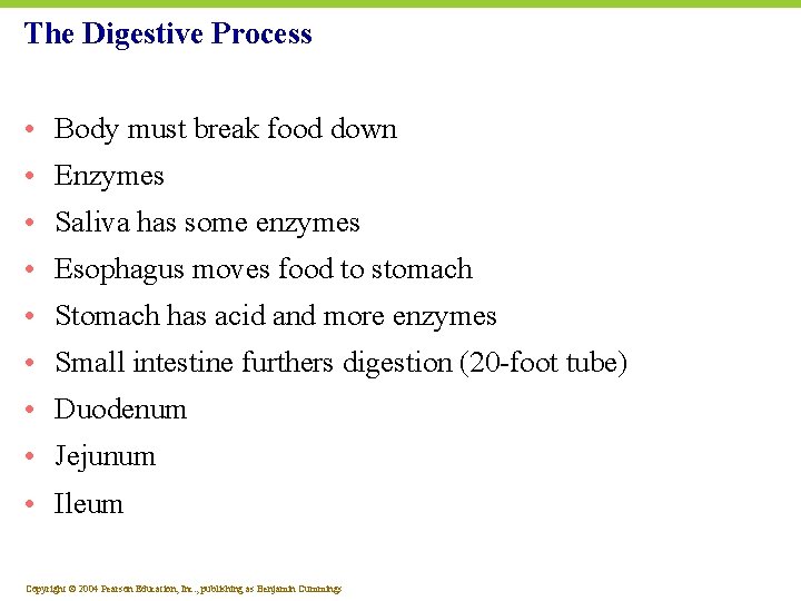 The Digestive Process • Body must break food down • Enzymes • Saliva has