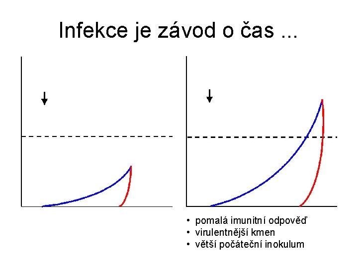 Infekce je závod o čas. . . • pomalá imunitní odpověď • virulentnější kmen