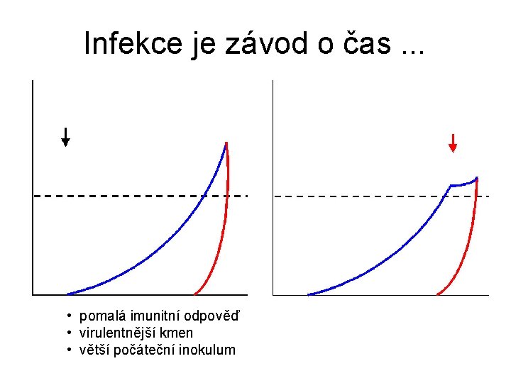 Infekce je závod o čas. . . • pomalá imunitní odpověď • virulentnější kmen