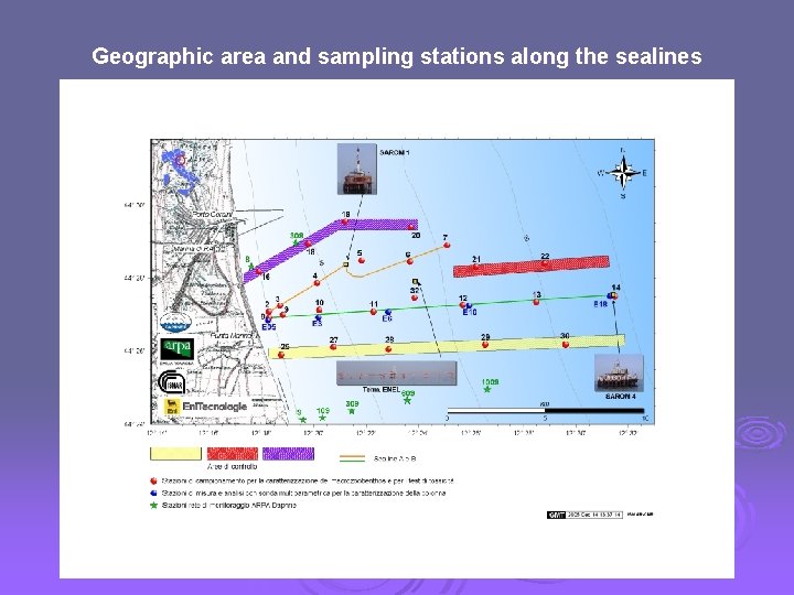 Geographic area and sampling stations along the sealines 