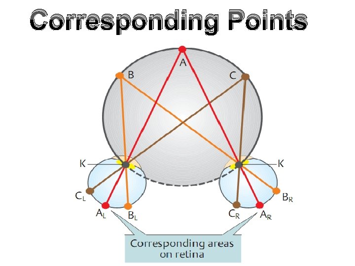 Corresponding Points 