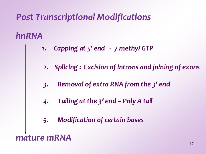 Post Transcriptional Modifications hn. RNA 1. Capping at 5’ end - 7 methyl GTP