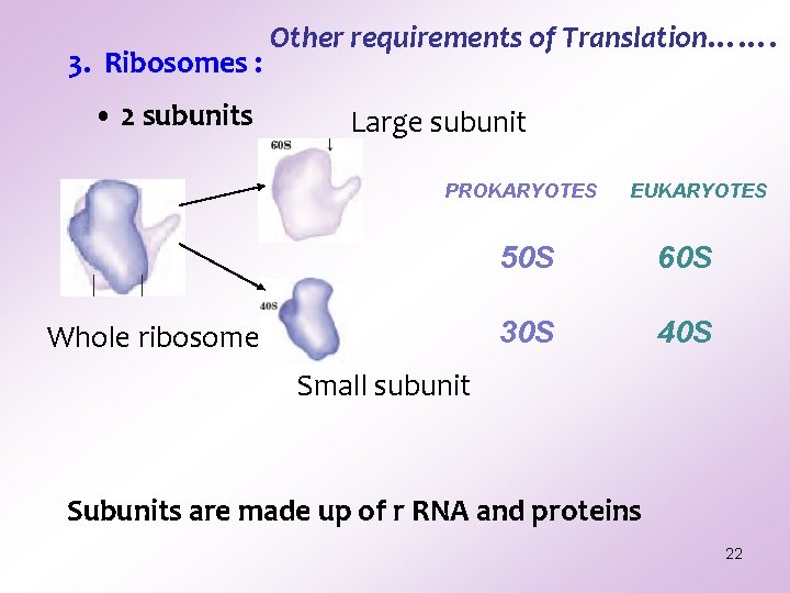 3. Ribosomes : • 2 subunits Other requirements of Translation……. Large subunit PROKARYOTES Whole