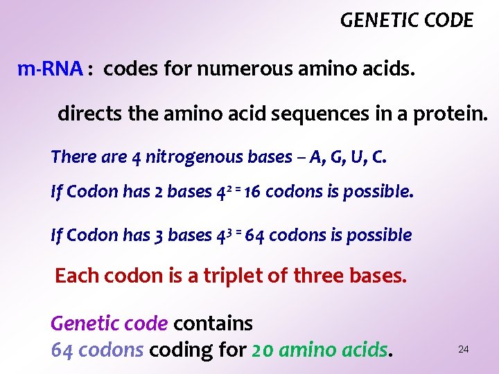 GENETIC CODE m-RNA : codes for numerous amino acids. directs the amino acid sequences