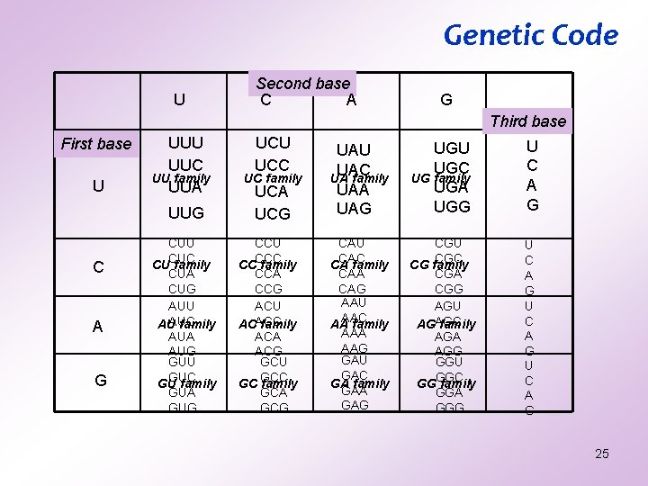 Genetic Code U Second base C A G Third base First base U UUC