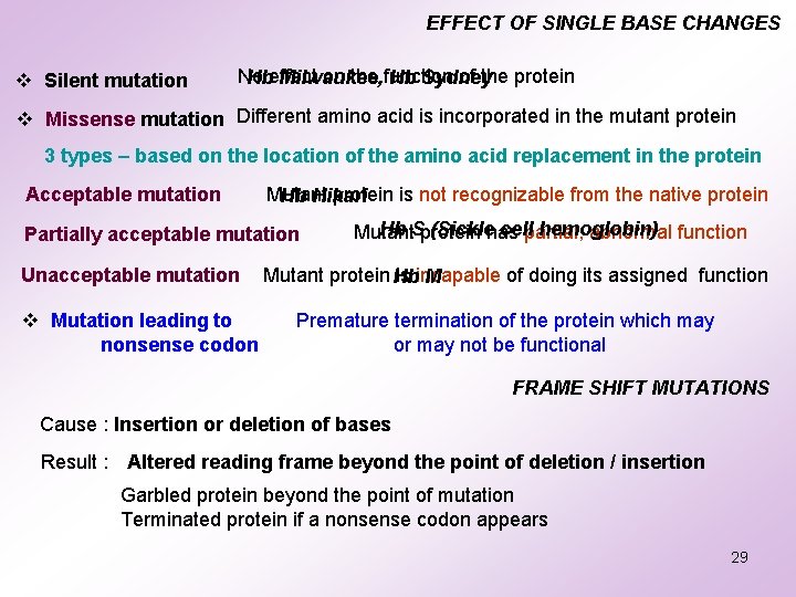 EFFECT OF SINGLE BASE CHANGES v Silent mutation No on the function of the