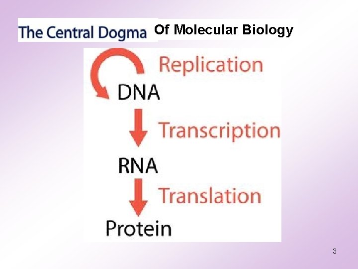 Of Molecular Biology 3 