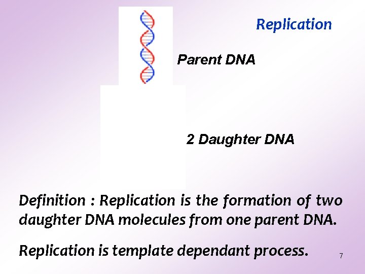 Replication Parent DNA 2 Daughter DNA Definition : Replication is the formation of two