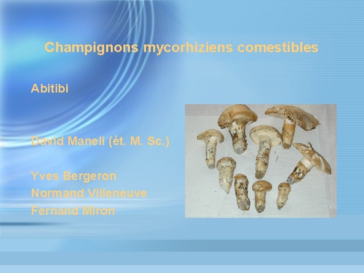 Champignons mycorhiziens comestibles Abitibi David Maneli (ét. M. Sc. ) Yves Bergeron Normand Villeneuve