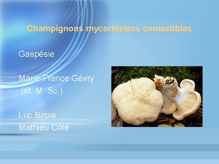 Champignons mycorhiziens comestibles Gaspésie Marie-France Gévry (ét. M. Sc. ) Luc Sirois Mathieu Côté