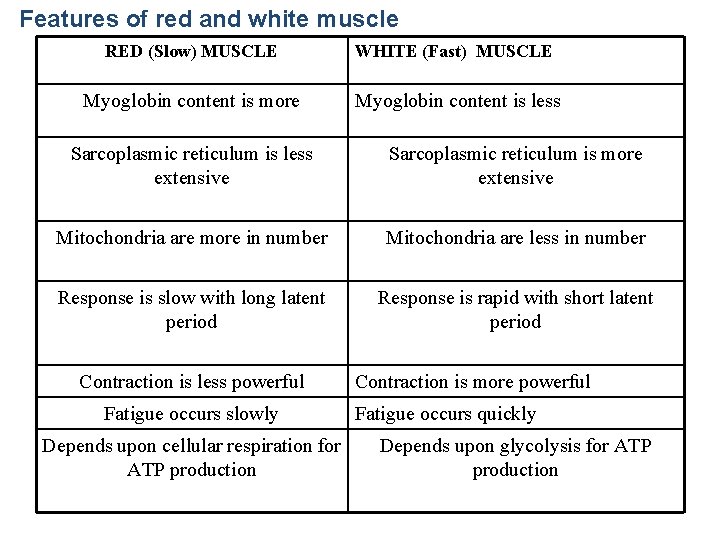 Features of red and white muscle RED (Slow) MUSCLE WHITE (Fast) MUSCLE Myoglobin content