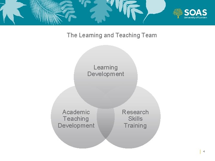 The Learning and Teaching Team Learning Development Academic Teaching Development Research Skills Training 4