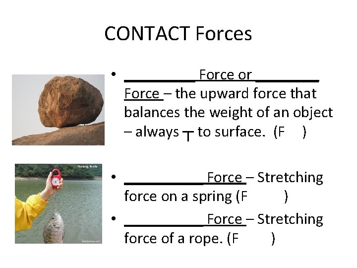 CONTACT Forces • _____ Force or ____ Force – the upward force that balances