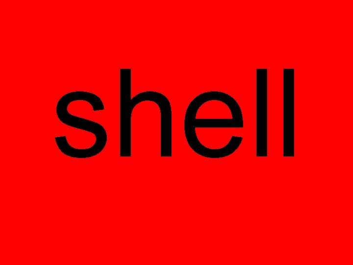 shell 