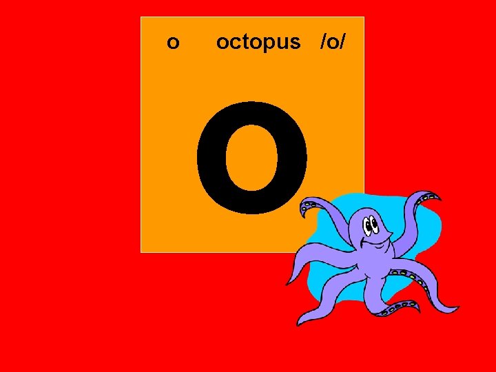 o o octopus /o/ 
