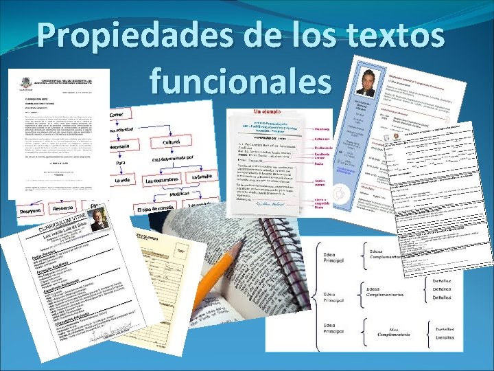 Propiedades de los textos funcionales 