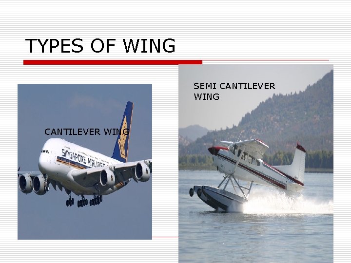 TYPES OF WING SEMI CANTILEVER WING 