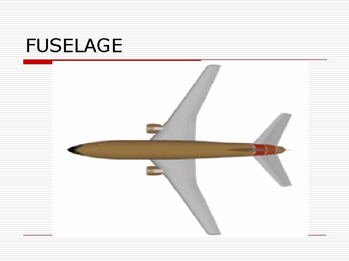 FUSELAGE 
