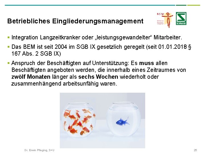 Betriebliches Eingliederungsmanagement § Integration Langzeitkranker oder „leistungsgewandelter“ Mitarbeiter. § Das BEM ist seit 2004