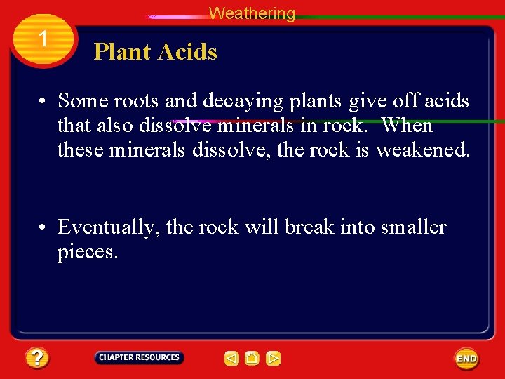 Weathering 1 Plant Acids • Some roots and decaying plants give off acids that