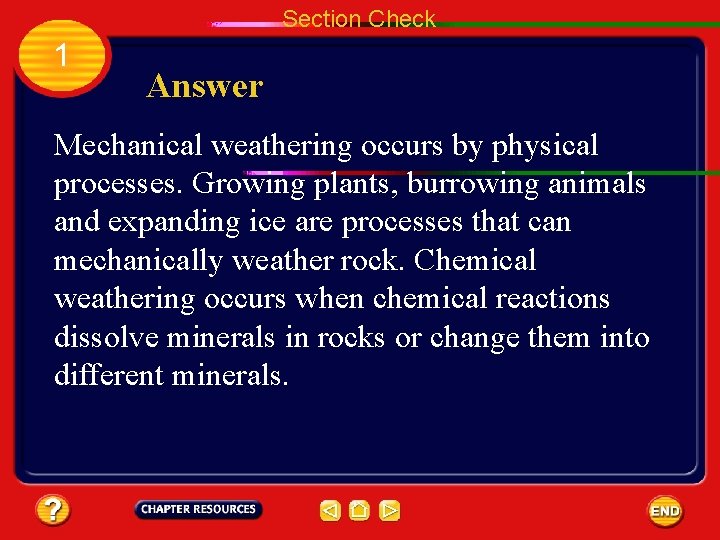 Section Check 1 Answer Mechanical weathering occurs by physical processes. Growing plants, burrowing animals
