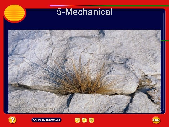 5 -Mechanical 