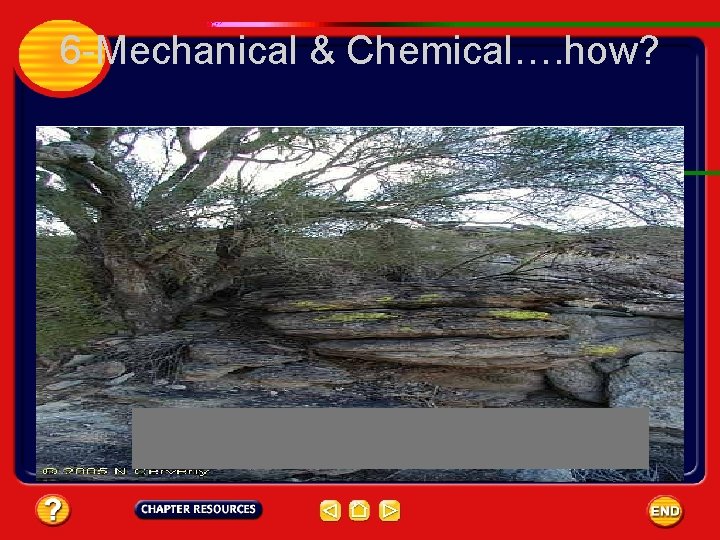 6 -Mechanical & Chemical…. how? 