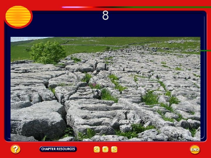 8 