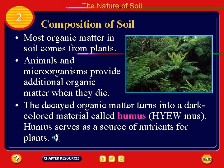The Nature of Soil 2 Composition of Soil • Most organic matter in soil