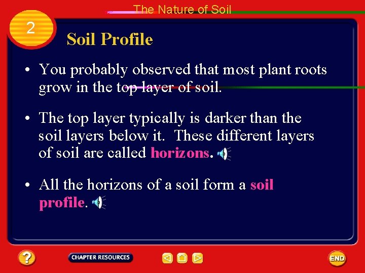 The Nature of Soil 2 Soil Profile • You probably observed that most plant