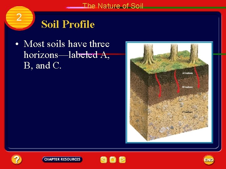 The Nature of Soil 2 Soil Profile • Most soils have three horizons—labeled A,