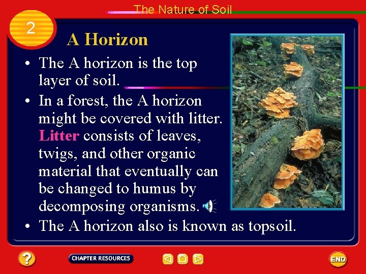The Nature of Soil 2 A Horizon • The A horizon is the top