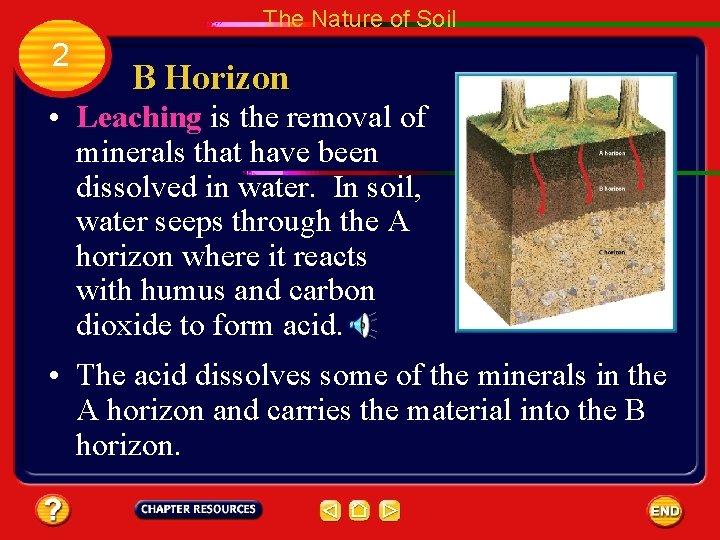 The Nature of Soil 2 B Horizon • Leaching is the removal of minerals